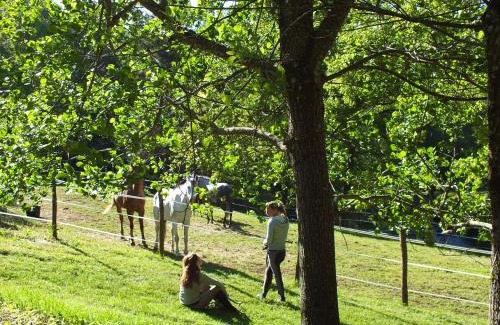 Les Settons Hotel | Les Grillons du Morvan