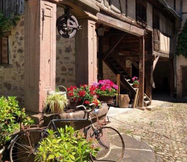 Riquewihr Apartment | Les Hortensias