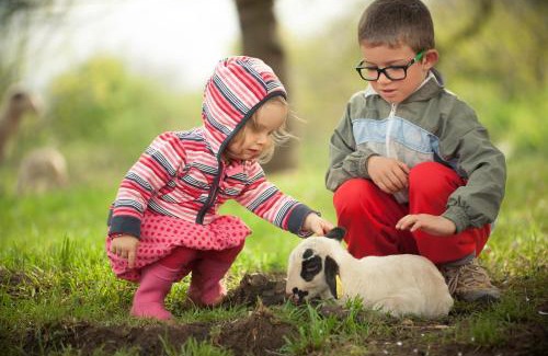 Gramat Bed & Breakfast | les roulottes du LOT