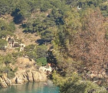 Ensues-la-Redonne Bed & Breakfast | Les terrasses des Anthenors