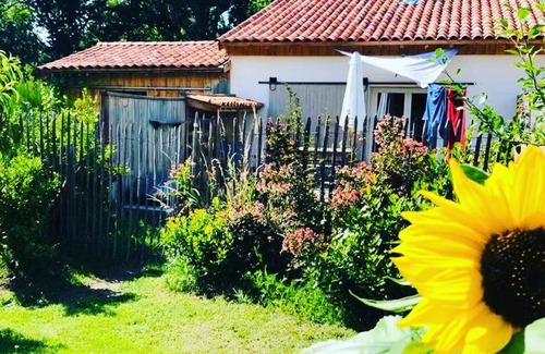 Vensac House | LES VACANCES AUX CERCINS