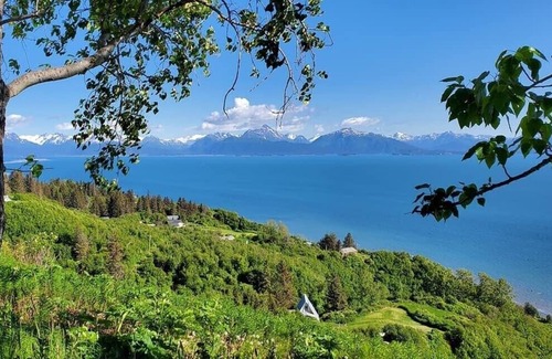 Kenai Apartment | Less than a mile from the mouth of the Kenai River!