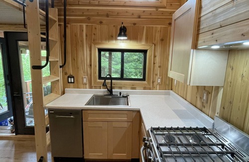 Paradise Estates Cabin | Li'l Finch Mt. Rainier tiny cabin with covered Hot tub and steam sauna