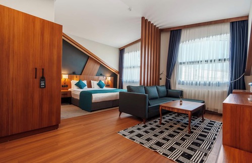 Melikgazi Hotel | Library Hotel Erciyes