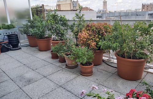 Saint-Ouen Apartment | Light and bright apartment near Montmartre, the Puces de Saint-Ouen, Saint-Denis