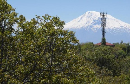 Geghadir Apartment | Light Home