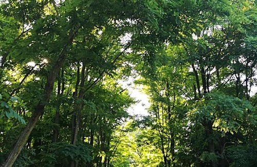 Dabrony House | Lila Akác Vendégház