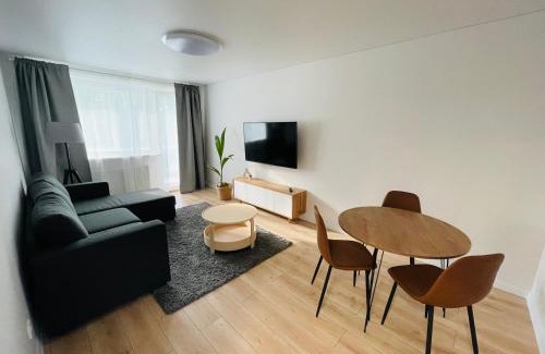 Siauliai City Center Apartment | LilHouse Apartment in Siauliai Center