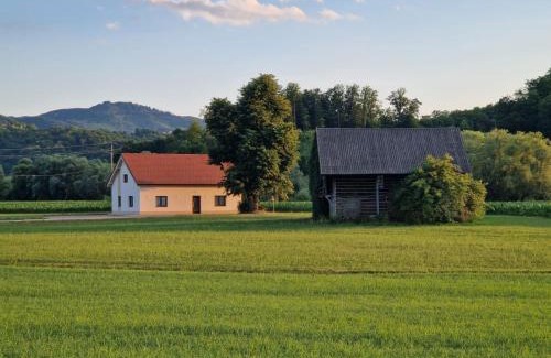 Smarje pri Jelsah Apartment | Linden Retreat Apartments with Sauna