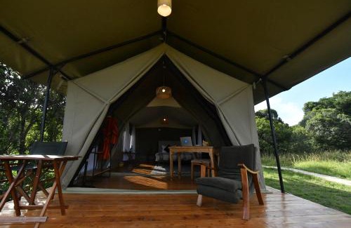 Maasai Mara Other | Lion's Cradle