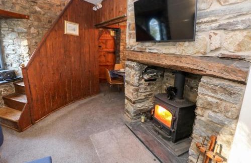 Newport House | Llwyngwair Lodge