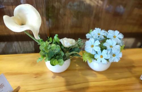 Pearl River Delta Hotel | lnsail Hotel Shenzhen Luohu Port Railway Station