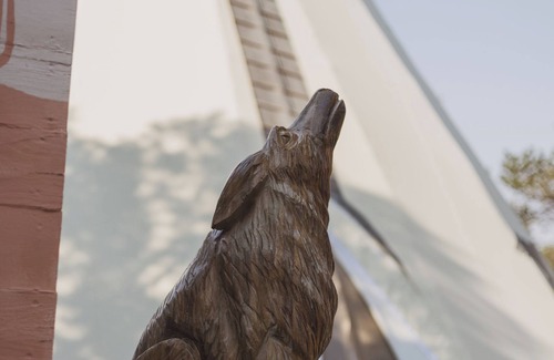 Nogal RV Rental | Lobo Tipi unique stay at El Mistico Ranch