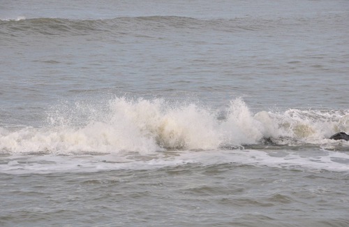 Saint-Vivien-de-Medoc House | Location Caravane Dans le Médoc