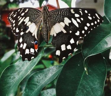 San Fernando Bed & Breakfast | Location One Eighty