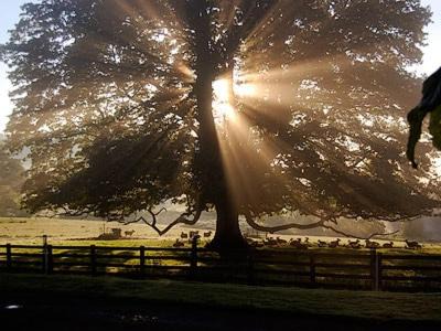 Kelso House | Lochside Stable Hse