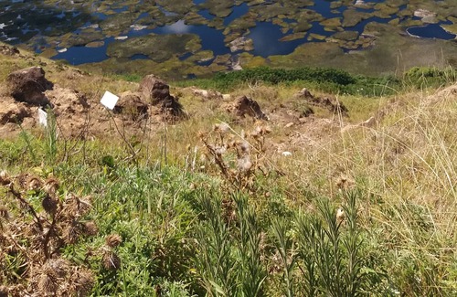 Hanga Roa House | Lodge Honu Rapanui acreditado en Sernatur no03