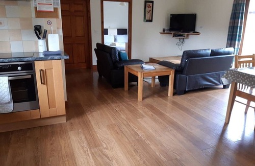 Llanddewi Ystradenny Ski Chalet | Lodge with fantastic contemporary styling.