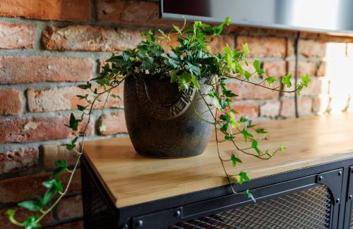 Uniejow Apartment | Loft Apartments 2 Uniejów