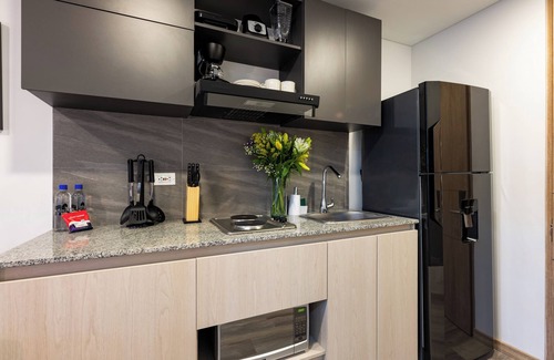 Zona Rosa Apartment | Loft in 85 st w/Fast Wi-fi, Great Location & View