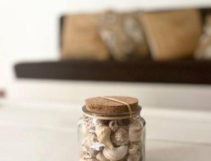 St. Louis Apartment | Loft Saint-Louisien - MuPho