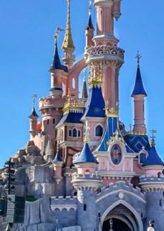 Messy Apartment | loft SPA nature et détente