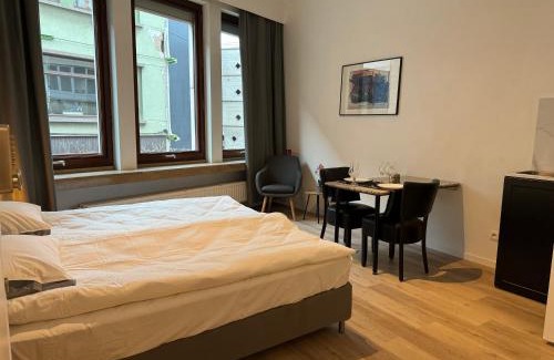 University District Apartment | Loft with big terrace city center MEIR