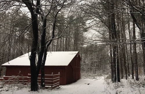 Altmar Cabin | Log Cabin on 63 Acres: Minutes to Salmon River, ATV & Snowmobile Trails