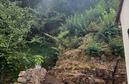 Moussey Cottage | Logement Cadre Apaisant à Moussey Dans un Écrin de Verdure