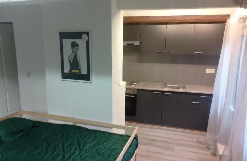 Outremeuse Apartment | Logement Outremeuse 2D