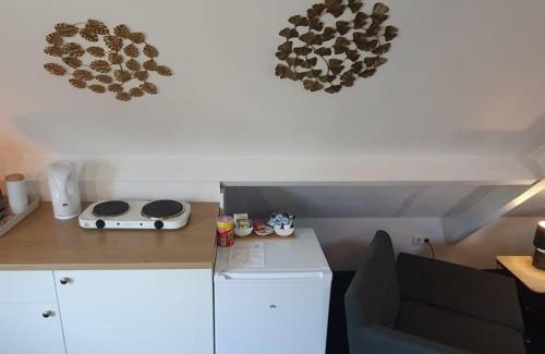 Broek op Langedijk House | Logeren op Dijk43