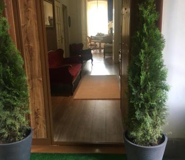 Krisztinavaros Apartment | Logod Panorama Apartman