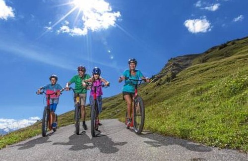 Adelboden Apartment | Lohnerhof AP C4 by Interhome