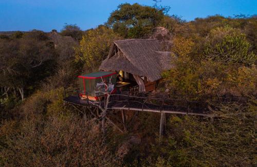 Loisaba Other | Loisaba Star Beds