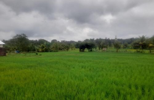 Batukliang Villa | Lombok Happy