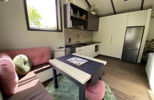 Hamilton North Apartment | Long Dog Studio - Central city