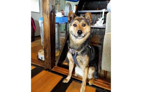 Minowa House | LongHillsEcoGuesthouse&Cafe - Vacation STAY 24885v