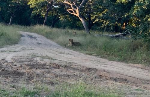 Ngoma Other | Lorato Camping