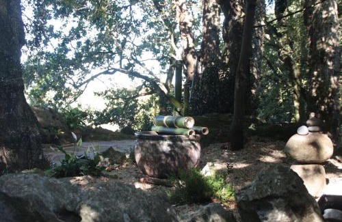 Medio Cudeyo Apartment | Los Acebos de Peña Cabarga, Cúpula experiencias