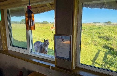 Barra de Valizas Cabin | Los Chajá Ecolodge