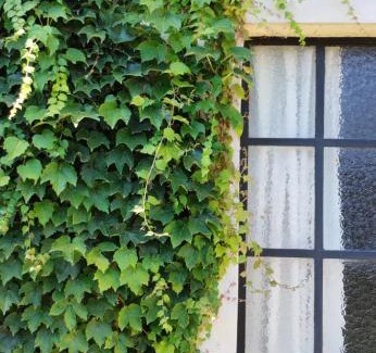 San Antonio de Areco Apartment | Los tilos