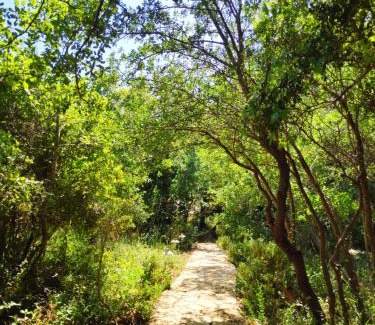 Mattat Other | Love Frequency - יורט קסום במתת