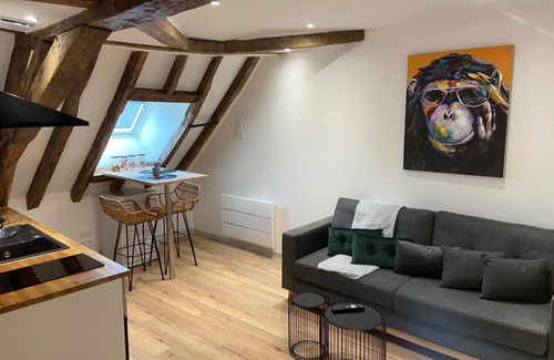 Bourges Apartment | Love Room downtown with Jacuzzi