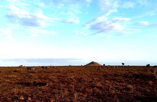 Malindi Marine National Park Villa | Lovely apartment in villa for 6 people with A/C, pool, patio and parking