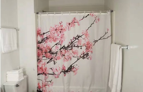 Maverick Creek Apartment | Lovely Private Room in a nice house with AC, WiFi