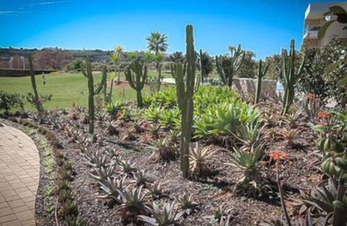 Santo Antonio dos Olivais Apartment | Lovely room close to the University