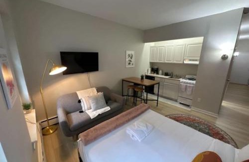 Prudential - St. Botolph Apartment | Lovely Studio Apt South End