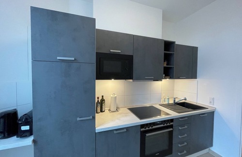 Rathausviertel Apartment | Ls10 Große, Helle, Voll Ausgestattete Wohnung in der Innenstadt