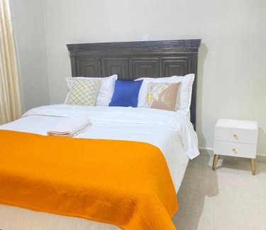 Nanyuki Apartment | Lucky House 1br with Netflix Wifi