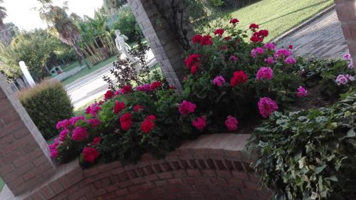 Jesi House | Luconi Affittacamere